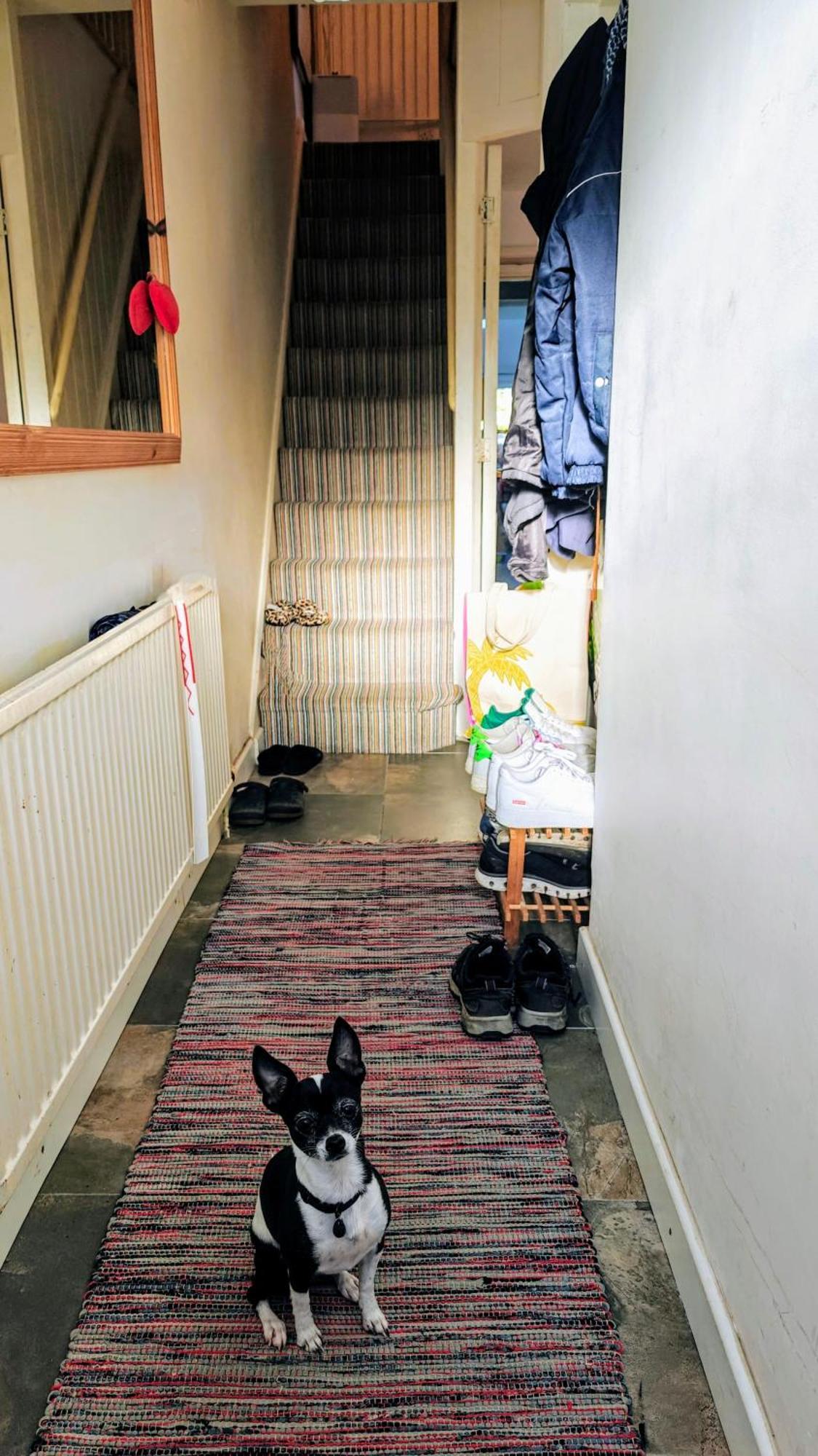 אוקספורד Headington Haven Homestay מראה חיצוני תמונה