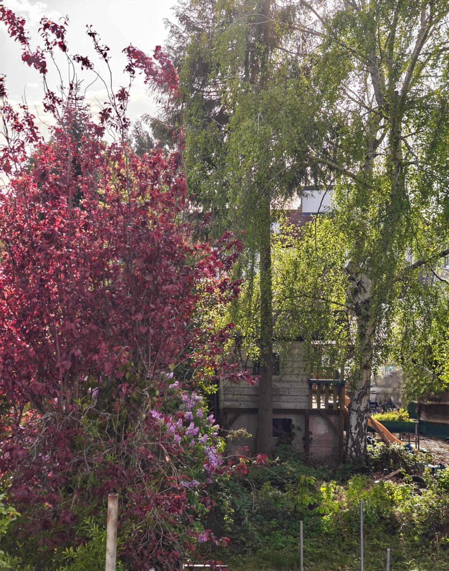 אוקספורד Headington Haven Homestay מראה חיצוני תמונה